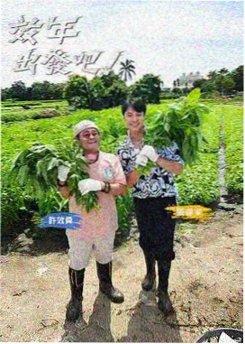 综艺完整版《城市漫游记》海报