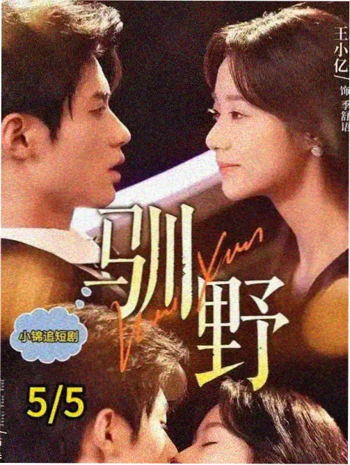 高分电影完整版《人间四季》海报